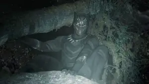 Backdrop to the movie "Black Panther" #563079