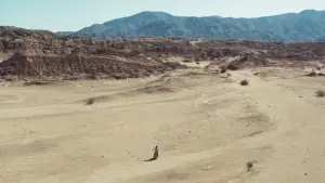 Backdrop to the movie "Pioneers" #715788