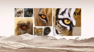 Backdrop to the movie "Apex Predators: Invisible Worlds" #449361