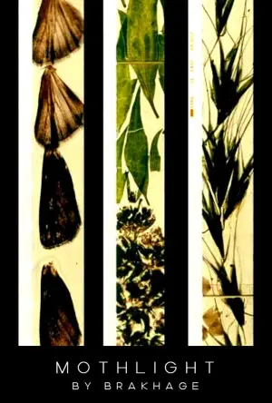 Poster to the movie "Mothlight" #703613