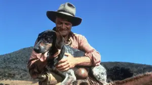 Backdrop to the movie "Savage Sam" #678432