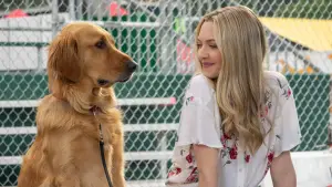 Backdrop to the movie "The Art of Racing in the Rain" #716546