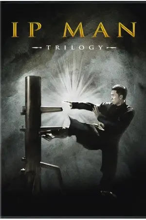 Poster to the movie "Ip Man" #715890
