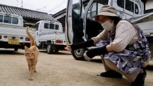 Backdrop to the movie "The Cats of Gokogu Shrine" #757956