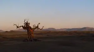 Backdrop to the movie "Conan the Barbarian" #624552