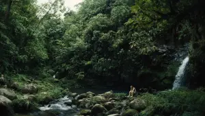Backdrop to the movie "Pescador" #923569