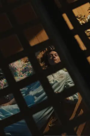 Poster to the movie "The Beldham" #513271