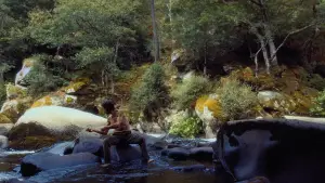 Backdrop to the movie "Solitarium" #729565