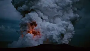 Backdrop to the movie "The Tree of Life" #723947