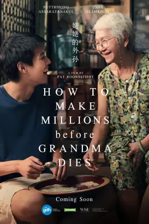 Poster to the movie "How To Make Millions Before Grandma Dies" #609387