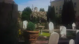 Backdrop to the movie "Vertigo" #635907