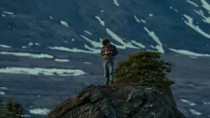 Backdrop to the movie "Into the Wild" #677219