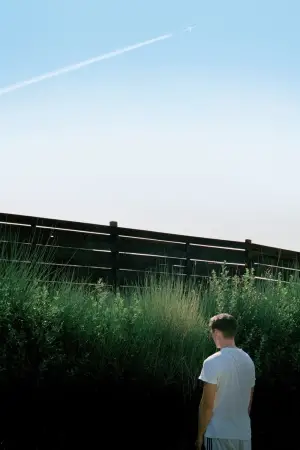 Poster to the movie "Dogtooth" #738680