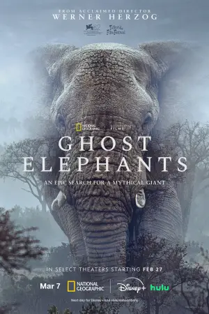Poster to the movie "Ghost Elephants" #764759