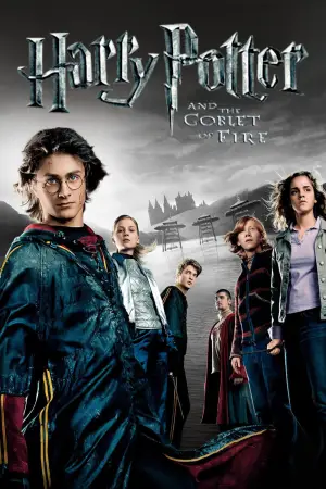 Poster to the movie "Harry Potter and the Goblet of Fire" #556603