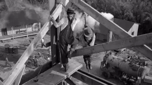 Backdrop to the movie "The Treasure of the Sierra Madre" #751652