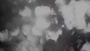 Backdrop to the movie "Perfect Days" #747062