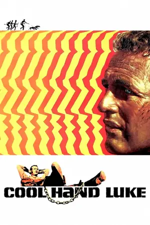 Poster to the movie "Cool Hand Luke" #102972