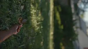 Backdrop to the movie "Nickel Boys" #598730