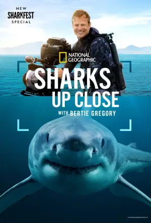 Poster to the movie "Sharks Up Close with Bertie Gregory" #793033