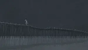 Backdrop to the movie "The Red Turtle" #211982