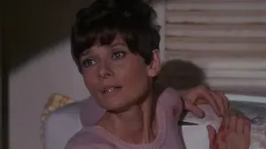 Backdrop to the movie "Wait Until Dark" #221159