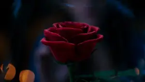 Backdrop to the movie "Beauty and the Beast" #748513