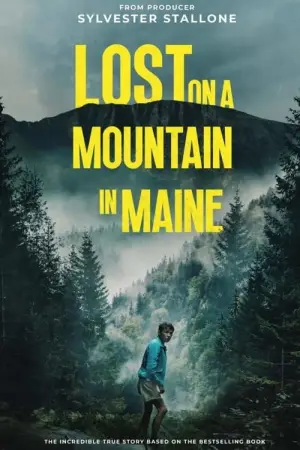 Poster to the movie "Lost on a Mountain in Maine" #786458