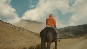 Backdrop to the movie "Nope" #637381