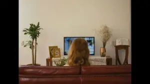 Backdrop to the movie "Intermitencias" #794429