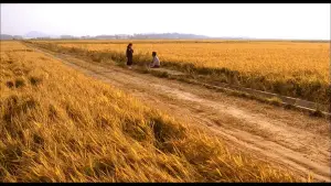 Backdrop to the movie "Memories of Murder" #630486