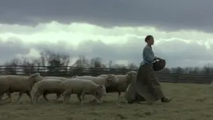 Backdrop to the movie "The Village" #728852