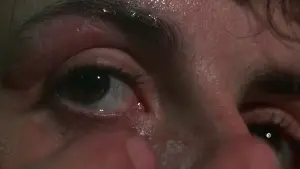 Backdrop to the movie "Rocky" #575065