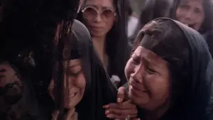 Backdrop to the movie "Miracle" #701290