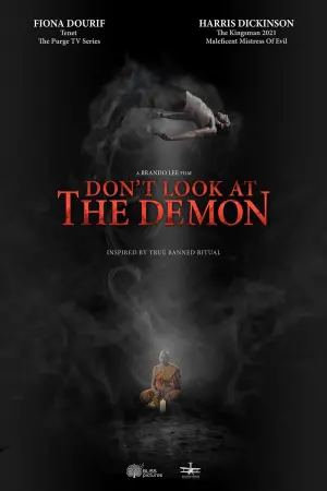 Poster to the movie "Don