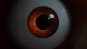 Backdrop to the movie "Turning Red" #581752