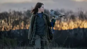 Backdrop to the movie "H Is for Hawk" #535658