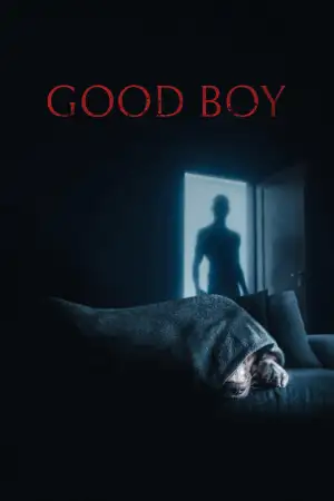 Good Boy