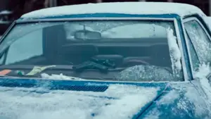 Backdrop to the movie "Dead of Winter" #796037