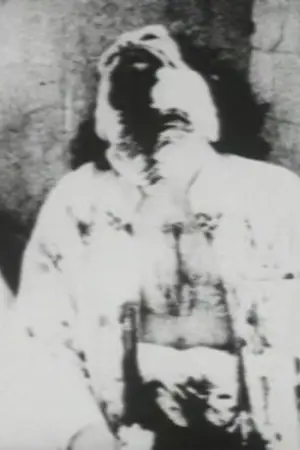 Poster to the movie "Begotten" #658979