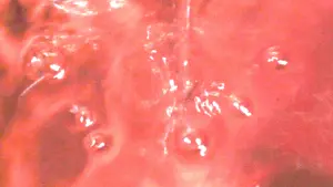 Backdrop to the movie "Kova" #492137