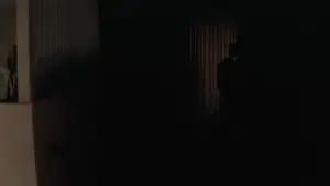 Backdrop to the movie "Lost Highway" #533624