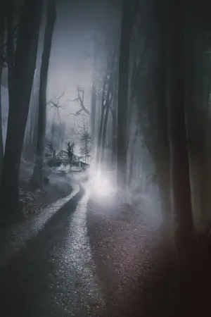 The Little Girl Who Lives Down the Lane