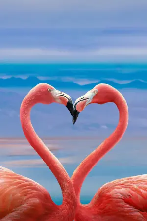 Movie poster "Queer Planet"