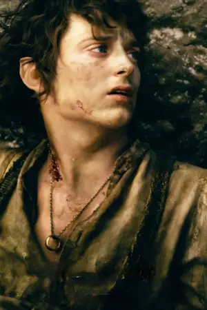 Poster to the movie "The Lord of the Rings: The Return of the King" #515022