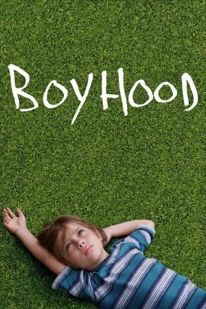 Poster to the movie "Boyhood" #129539