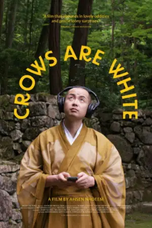 Poster to the movie "Crows Are White" #769667
