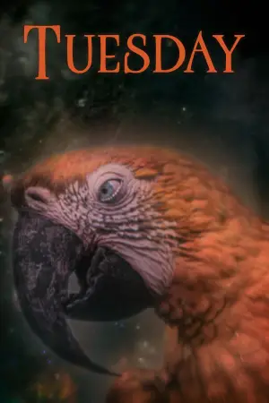 Poster to the movie "Tuesday" #532823