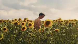 Backdrop to the movie "Sunflower" #820102