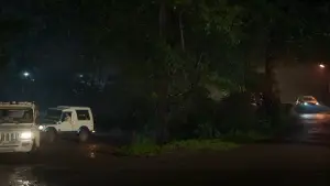 Backdrop to the movie "Ronth" #802562